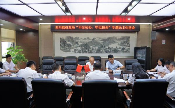 四川能投發(fā)展黨委召開“不忘初心、牢記使命”專...